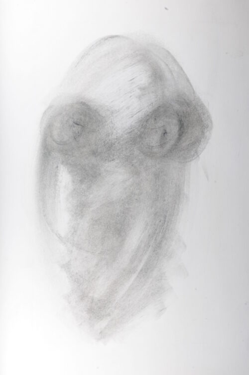 dsc 9024