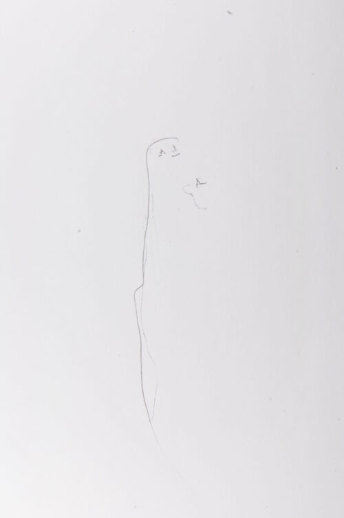 dsc 9130