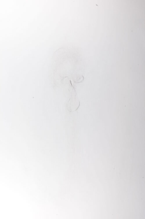 no. 3