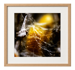 chatgpt image 16. sept. 2026, 16 58 44