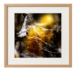chatgpt image 16. sept. 2026, 16 58 44